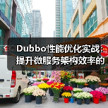Dubbo性能优化实战:提升微服务架构效率的关键方法与实践(图2) Dubbo性能优化实战:提升微服务架构效率的关键方法与实践(图2)