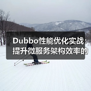 Dubbo性能优化实战:提升微服务架构效率的关键方法与实践(图4) Dubbo性能优化实战:提升微服务架构效率的关键方法与实践(图4)