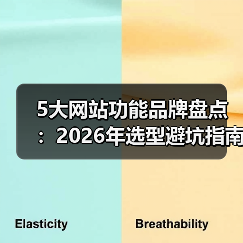 5大网站功能品牌盘点：2026年选型避坑指南（图3）