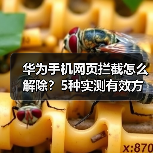 华为手机网页拦截怎么解除?5种实测有效方法(图4) 华为手机网页拦截怎么解除?5种实测有效方法(图4)