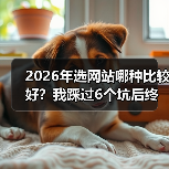 2026年选网站哪种比较好?我踩过6个坑后终于明白了(图4) 2026年选网站哪种比较好?我踩过6个坑后终于明白了(图4)