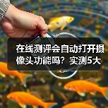 在线测评会自动打开摄像头功能吗?实测5大平台真相惊人(图2) 在线测评会自动打开摄像头功能吗?实测5大平台真相惊人(图2)