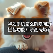 华为手机怎么解除网页拦截功能？亲测5步解决弹窗烦恼