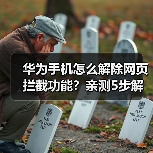 华为手机怎么解除网页拦截功能？亲测5步解决弹窗烦恼（图4）