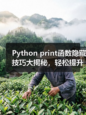 Python print函数隐藏技巧大揭秘，轻松提升代码效率！（图2）