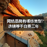 网络品牌有哪些类型？选错等于白费三年（图4）