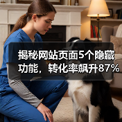 揭秘网站页面5个隐藏功能，转化率飙升87%（图4）