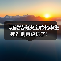 功能结构决定转化率生死？别再踩坑了！