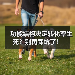 功能结构决定转化率生死？别再踩坑了！（图3）