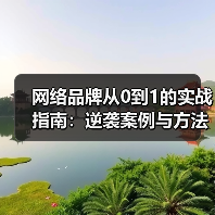 网络品牌从0到1的实战指南：逆袭案例与方法论