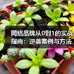 网络品牌从0到1的实战指南：逆袭案例与方法论（图4）