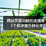 网站页面功能优化指南：5个模块提升转化率243%（图3）