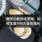 网页功能优化策略：如何实现300万营收增长？（图3）