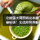 功能强大网页转化率翻倍秘诀！实战经验拆解与优化策略（图4）