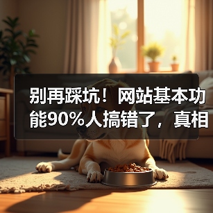 别再踩坑！网站基本功能90%人搞错了，真相竟在这（图4）