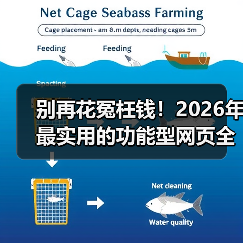 别再花冤枉钱！2026年最实用的功能型网页全解析（图3）