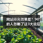 网站排名效果差？90%的人忽略了这3大底层逻辑（图4）