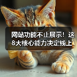 网站功能不止展示！这8大核心能力决定线上生死（图3）