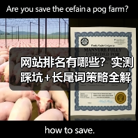 网站排名有哪些？实测踩坑+长尾词策略全解析（图3）