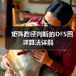 矩阵路径判断的DFS回溯算法详解(图1) 矩阵路径判断的DFS回溯算法详解(图1)