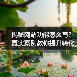 揭秘网站功能怎么写?真实案例教你提升转化率217%(图1) 揭秘网站功能怎么写?真实案例教你提升转化率217%(图1)