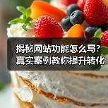 揭秘网站功能怎么写?真实案例教你提升转化率217%(图4) 揭秘网站功能怎么写?真实案例教你提升转化率217%(图4)