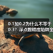 0.1加0.2为什么不等于0.3?浮点数精度陷阱全解析(图2) 0.1加0.2为什么不等于0.3?浮点数精度陷阱全解析(图2)
