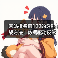 网站排名前100的5招实战方法：数据驱动反常识技巧（图2）