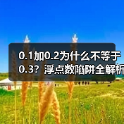 0.1加0.2为什么不等于0.3？浮点数陷阱全解析