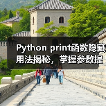 Python print函数隐藏用法揭秘，掌握参数提升开发效率