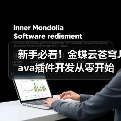 新手必看!金蝶云苍穹Java插件开发从零开始教程(图2) 新手必看!金蝶云苍穹Java插件开发从零开始教程(图2)