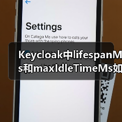 Keycloak中lifespanMs和maxIdleTimeMs如何影响会话超时?(图2) Keycloak中lifespanMs和maxIdleTimeMs如何影响会话超时?(图2)