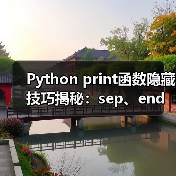 Python print函数隐藏技巧揭秘：sep、end参数用法全解析
