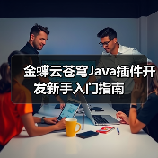 金蝶云苍穹Java插件开发新手入门指南