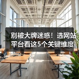 别被大牌迷惑!选网站平台看这5个关键维度,避开排行榜陷阱(图3) 别被大牌迷惑!选网站平台看这5个关键维度,避开排行榜陷阱(图3)