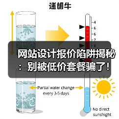 网站设计报价陷阱揭秘:别被低价套餐骗了!(图4) 网站设计报价陷阱揭秘:别被低价套餐骗了!(图4)
