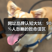 网址品牌认知大坑:90%人忽略的致命误区(图4) 网址品牌认知大坑:90%人忽略的致命误区(图4)