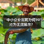 中小企业官网为何90%沦为无效展示?(图4) 中小企业官网为何90%沦为无效展示?(图4)