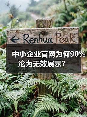 中小企业官网为何90%沦为无效展示?(图3) 中小企业官网为何90%沦为无效展示?(图3)