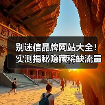 别迷信品牌网站大全!实测揭秘隐藏稀缺流量平台(图2) 别迷信品牌网站大全!实测揭秘隐藏稀缺流量平台(图2)