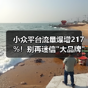 小众平台流量爆增217%!别再迷信 小众平台流量爆增217%!别再迷信