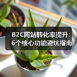 B2C网站转化率提升:6个核心功能避坑指南(图2) B2C网站转化率提升:6个核心功能避坑指南(图2)