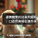 语音搜索优化案例解析:口语查询排名提升关键策略(图2) 语音搜索优化案例解析:口语查询排名提升关键策略(图2)