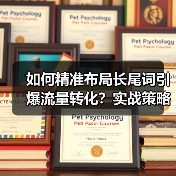 如何精准布局长尾词引爆流量转化?实战策略揭秘(图3) 如何精准布局长尾词引爆流量转化?实战策略揭秘(图3)