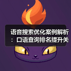 语音搜索优化案例解析:口语查询排名提升关键策略(图4) 语音搜索优化案例解析:口语查询排名提升关键策略(图4)
