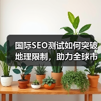 国际SEO测试如何突破地理限制，助力全球市场拓展？
