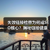 失效链接检查为何成SEO核心?揭秘链接健康管理策略!(图4) 失效链接检查为何成SEO核心?揭秘链接健康管理策略!(图4)