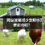 网站流量减少受那些因素影响呢？
