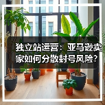 独立站运营：亚马逊卖家如何分散封号风险？