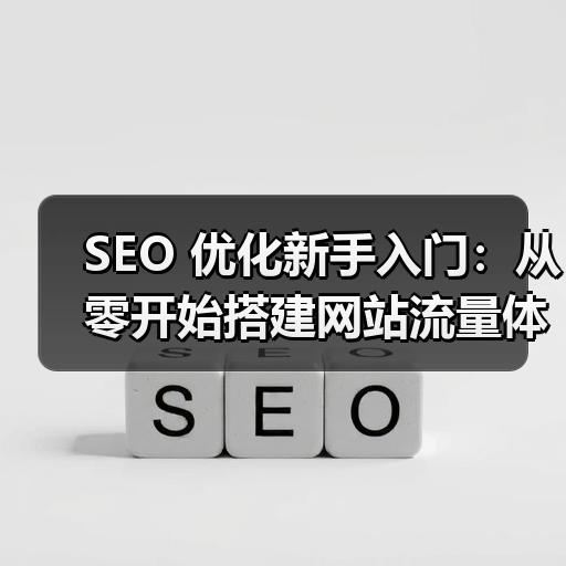 SEO 优化新手入门：从零开始搭建网站流量体系